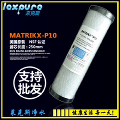 美国原装KX滤芯MATRIKX NSF认证P10精密进口活性炭滤芯去余氯异味