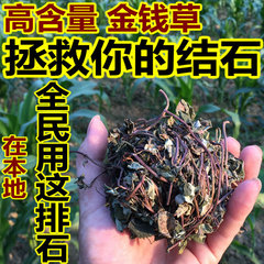 金钱草 排石茶 正宗四川野生小叶金钱草铜钱草马蹄金打结石茶