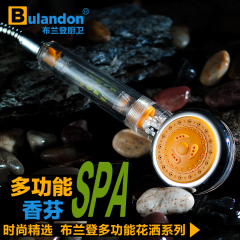 布兰登手持淋浴花洒洗浴喷头加压淋雨单莲蓬头热水器花洒香薰水疗