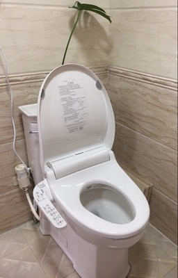 请问大家松下智能马桶盖板怎么样真相曝光测评