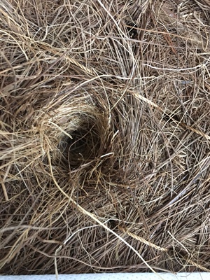 如何评价<分享感受>喜临门和龙凤床垫哪个好，哪个牌子比较大牌？