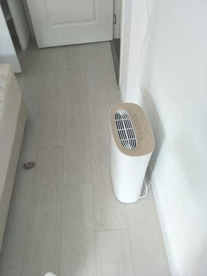 有人知道blueair空气净化器和IAM净化器哪个好?质量对比下?