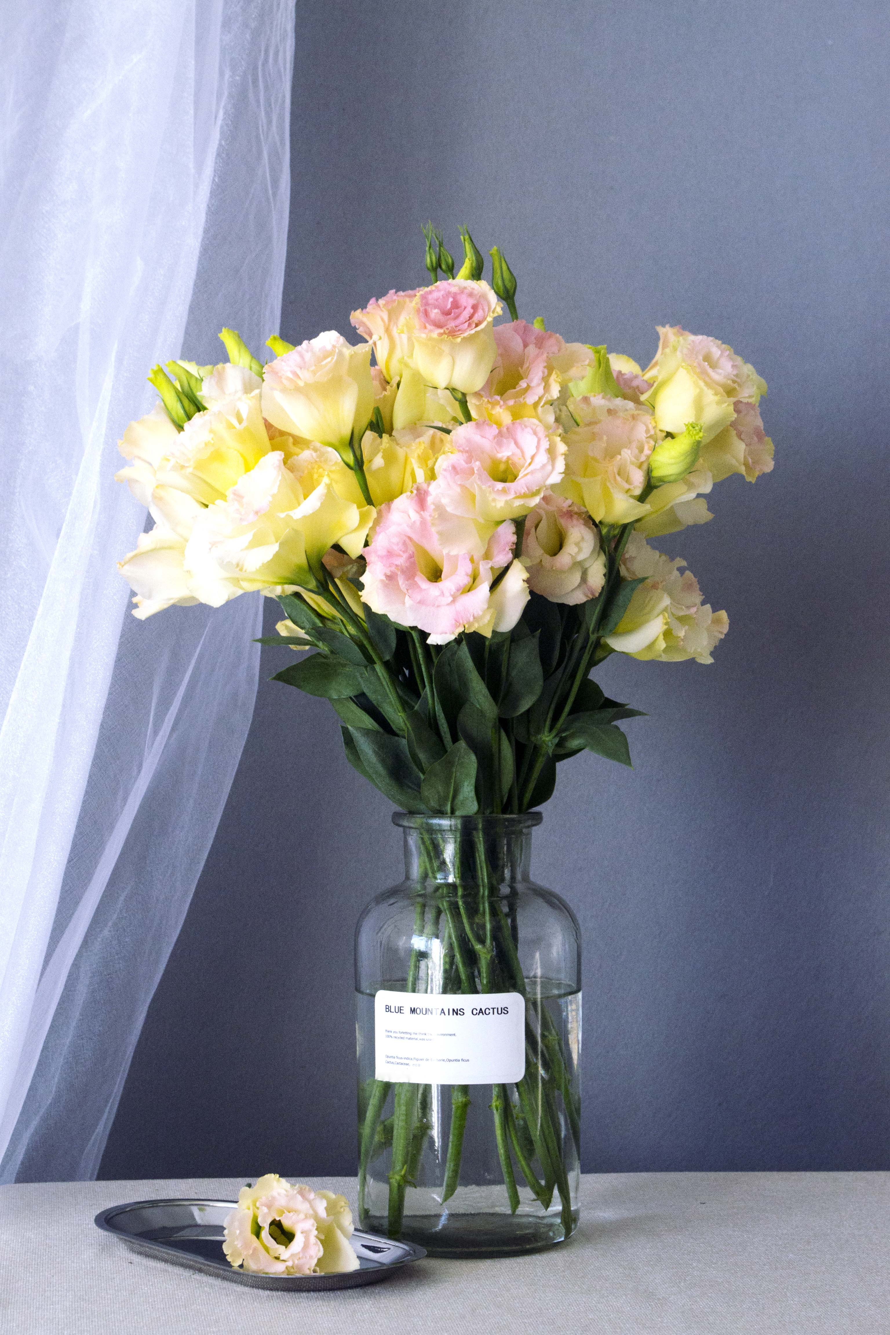 【量贩清仓】 1元起拍优质洋桔梗