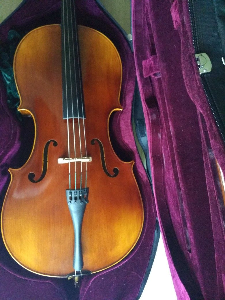 快来听听使用半年后的评价-世家乐器 手工实木大提琴