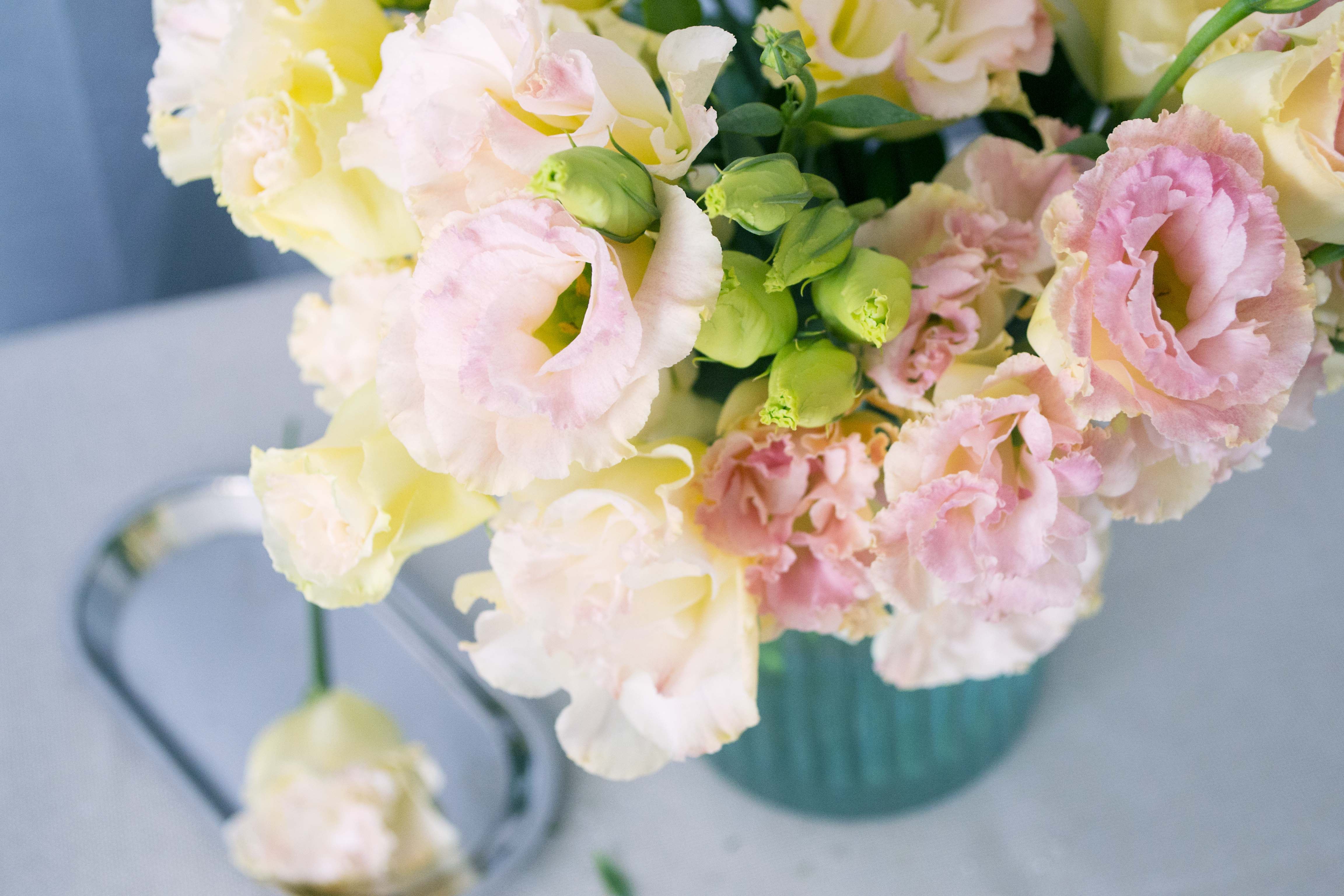 【量贩清仓】 1元起拍优质洋桔梗