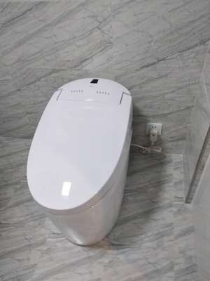 吐槽实际感受浪鲸卫浴智能马桶怎么样，真实质量如何呢？