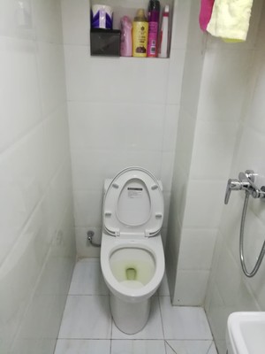Re:揭秘真相HEGII恒洁卫浴质量怎么样呢??大家知道恒洁卫浴是几线品牌?缺点在哪 ..