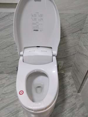 吐槽实际感受浪鲸卫浴智能马桶怎么样，真实质量如何呢？