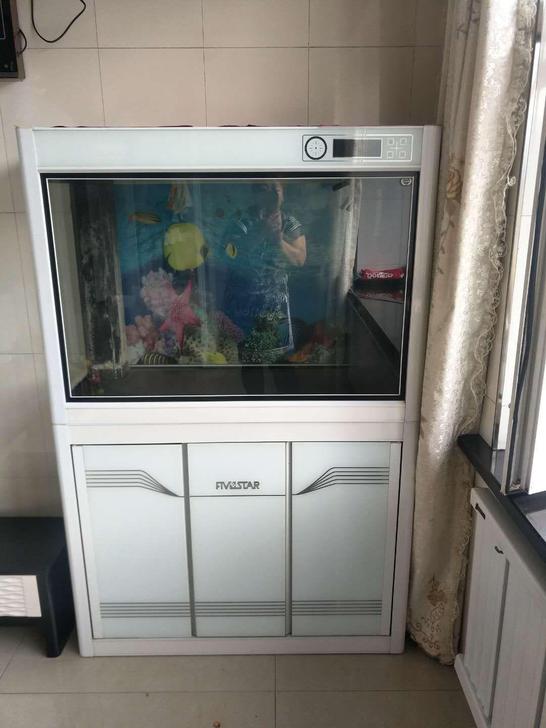 七台河五星鱼缸高端产品_七台河宠物猫-分类265网