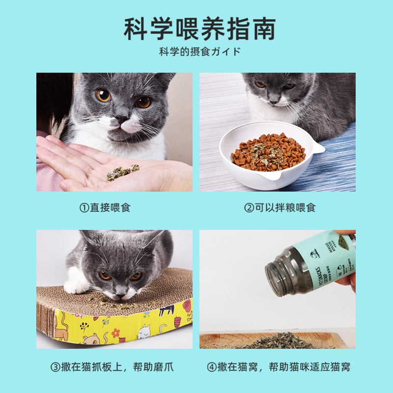 猫玩具自嗨解闷神器猫薄荷棒棒糖小猫磨牙棒逗猫球玩具猫咪用品