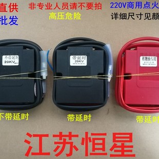 网红220v商用脉冲点火器甲醇乙醇基燃料植物油燃气猛火灶具电子打