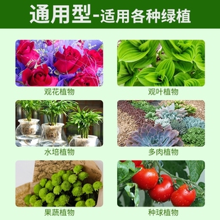 急速发货【超级浓缩营养液19.9】花卉绿植通用型 四季款 养花更简