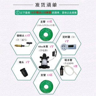 屋顶浇花增压泵定时雾化12v自吸泵高压抽水铜喷头电动喷雾器补水