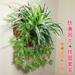 吊兰仿真绿植室内装饰盆栽塑料植物垂吊壁挂墙饰吊篮花品质花热销