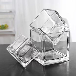 郁金香花盆 专用正方形长方形玻璃花瓶透明绿萝睡莲水养花盆器皿
