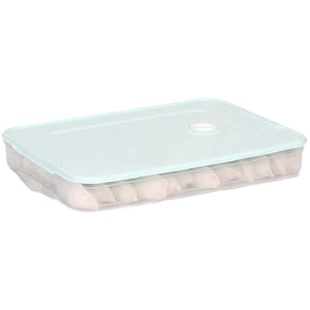 现货速发饺子盒家用多层装放的托盘冷冻速冻专用冰箱抄手盒子云吞