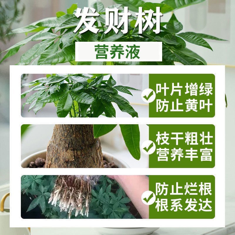 新品花润优营养液免稀释植物园艺营养液花卉果蔬黄叶生根通用