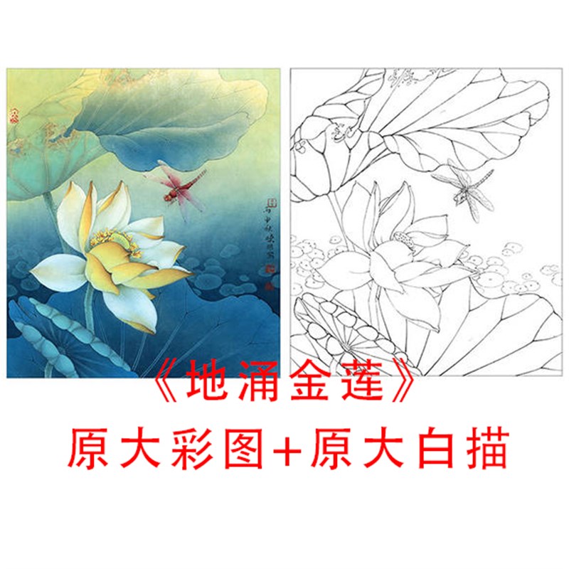 白描荷花蜻蜓小地底n稿李晓明品涌金临线描莲摹实物打印稿86