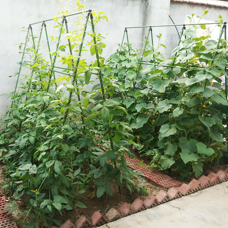 新品种菜架子豆角黄n瓜爬藤架庭院葡萄架花园爬藤架子花支架户外