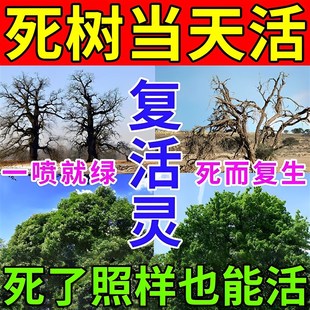 速发大树成活营养液死树强力快速生根复活灵大小树苗竹子枯树烂根