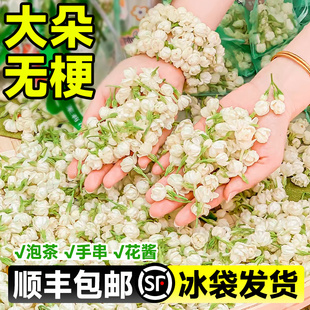 推荐茉莉花手串鲜花大朵苞可食用纯露酵素窨茶新鲜原料广西横县串