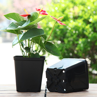 新品方形 塑料黑色1加仑花卉户外种植月季扦插盆透气花盆双12包邮