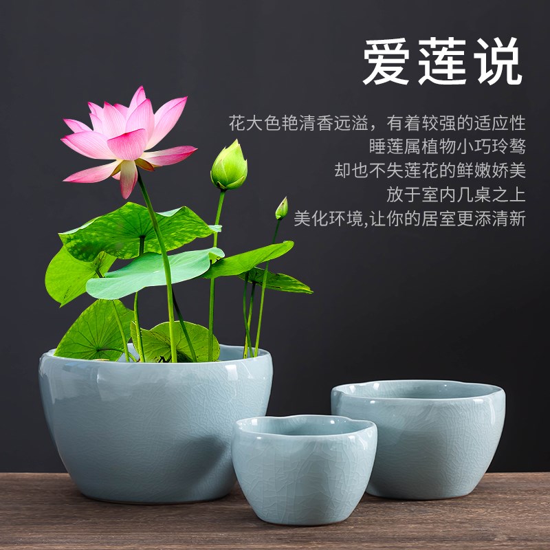 中国风碗莲花盆水培器皿荷叶边哥窑家用水养莲花大口径陶瓷带托盘