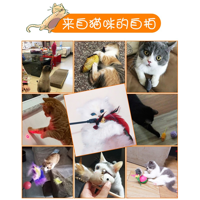 现货速发逗猫棒耐咬带铃铛羽毛自嗨宠物猫咪玩具超长杆钢丝喵咪用