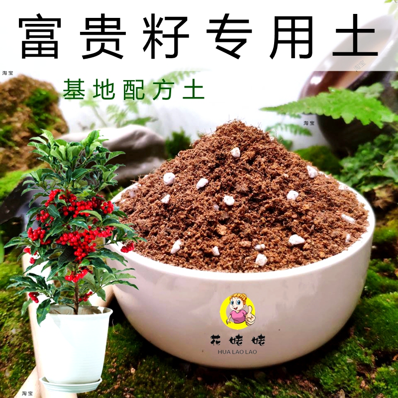 富贵籽专用土黄金万两通用型营养盆栽花卉花土家庭园艺有机土特配