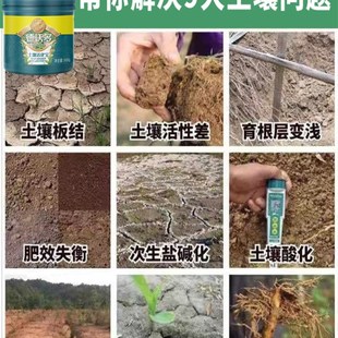 推荐厂家松土精土壤活化剂黑水肥料免深耕改善土壤板结疏松剂种菜