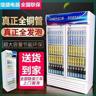 急速发货_商用展示柜啤酒柜冷柜超市冰柜单门立式冰箱饮料柜双门