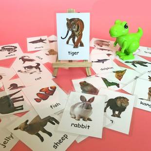 新品.Kids Montessori Baby Learn English Word Card Flashcards