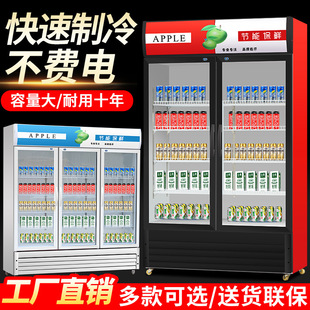 新三门饮料饮品双门立式冷藏展示z柜超市冰箱商用冰单门冷啤酒促