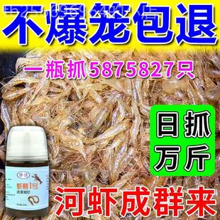 速发河虾饵料饲料鱼食强力诱食剂池塘沟渠淡水捕虾笼四季诱虾专用