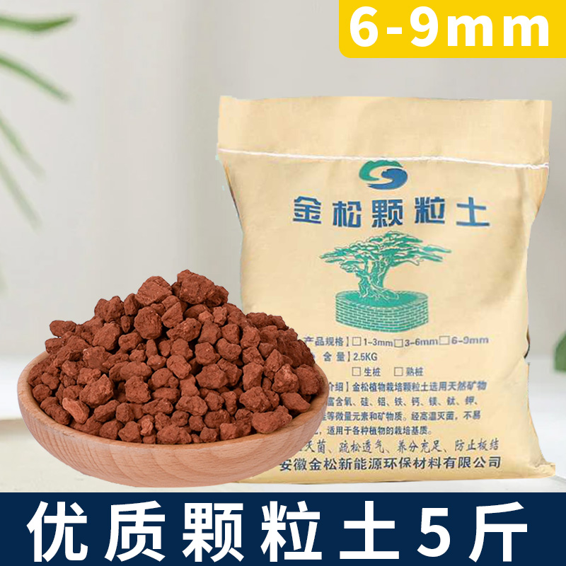 现货盆景专用颗粒土生桩熟桩多肉金松