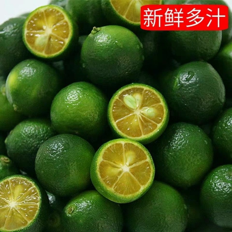 现摘青金桔新鲜水果小青桔小柠檬橘子青桔子青桔果四季奶茶冷饮用