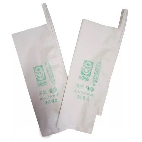 丝瓜黄瓜青瓜苦瓜套袋专用袋防z虫袋子保护套纸袋防水瓜果蔬菜水