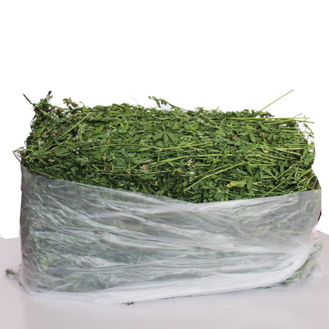 苜蓿草紫花苜蓿烘干牧草兔子龙猫荷兰猪豚鼠干草1000克现货厂家