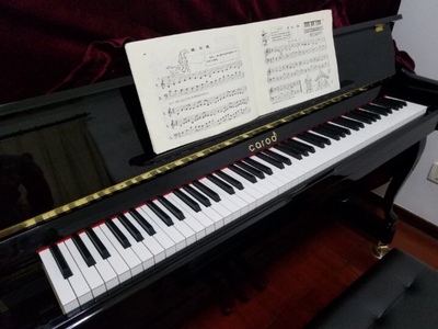 慎重说说：美得理DP50电钢琴怎么样？评测质量靠谱吗？