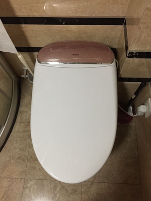 评测点评浪鲸卫浴是一线品牌吗，他们的马桶好不好用？大家说说！