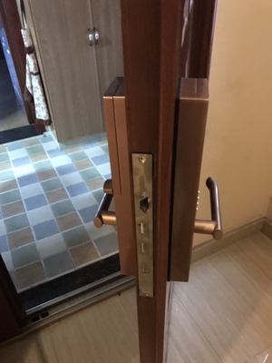 Re:请问真实评测德施曼系列和小嘀系列哪个好呢??说说使用德施曼系列和小嘀系列区 ..