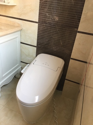 真实使用感受美标马桶质量怎么样，这个牌子是几线品牌的？好用吗？