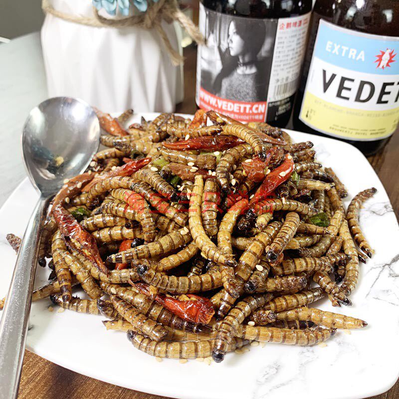 食用昆虫油炸大麦虫超级面包虫美味虫子黄粉虫蛹即食下酒小吃零食