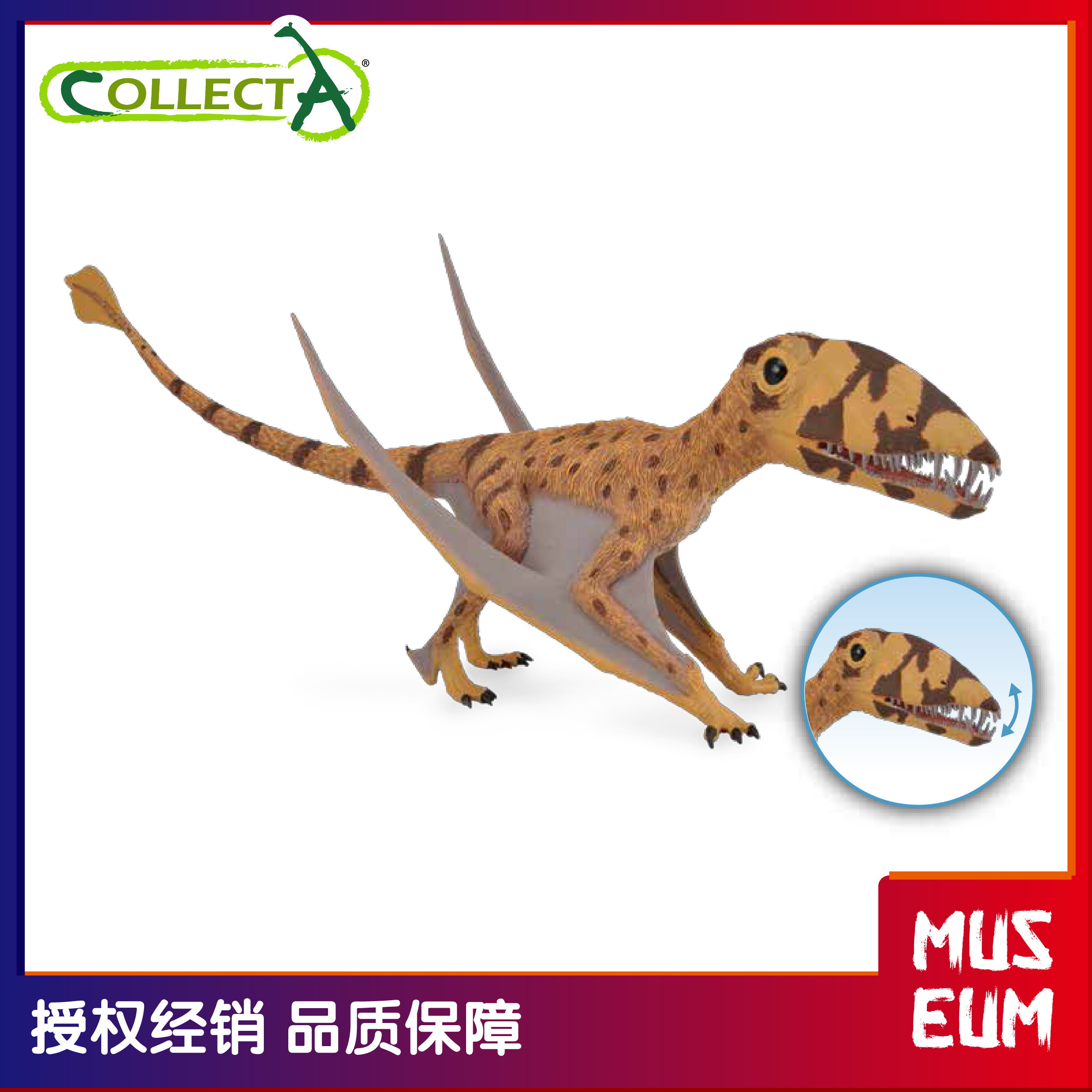 collecta仿真恐龙动物模型玩具双型齿翼龙男孩送礼摆件收藏88798