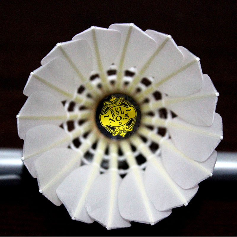 包邮正品亚狮龙5号羽毛球