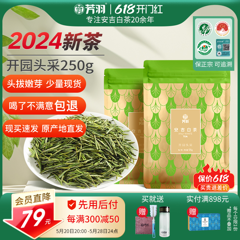 2024年新茶上市芳羽安吉白茶开园