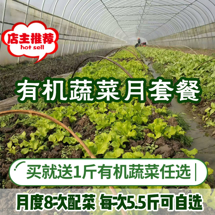 【继红有机农场】新鲜有机蔬菜月套餐