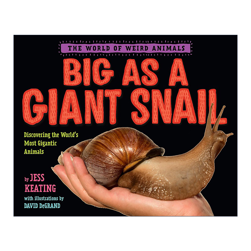 英文原版 Big as a Giant Snail The World of Weird Animals 像巨型蜗牛一样大 奇异动物世界系列 儿童精装科普百科绘本