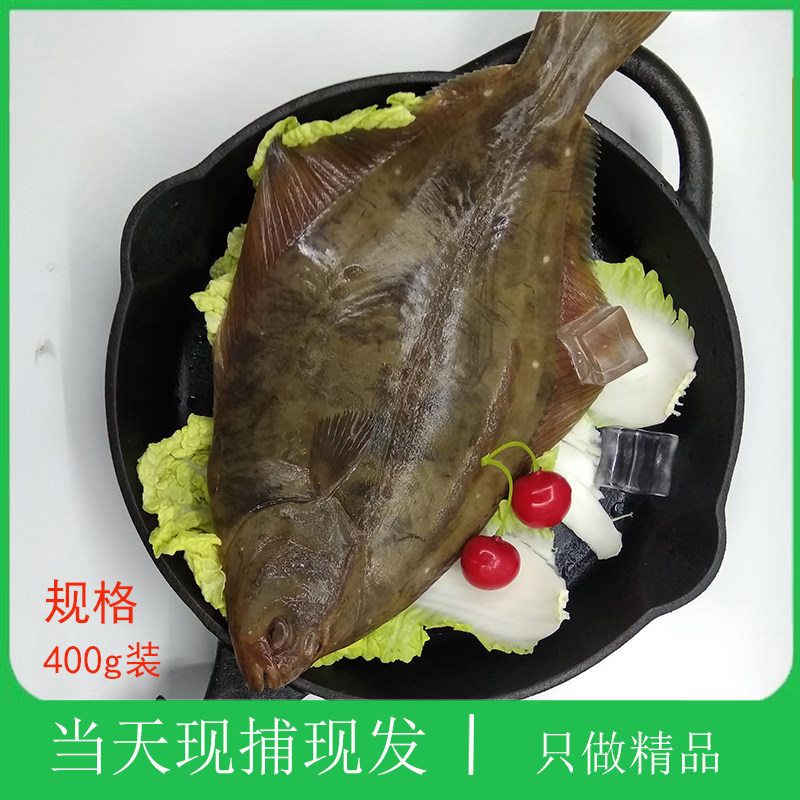 大连石甲子石岗鱼石匠鱼大个海鱼