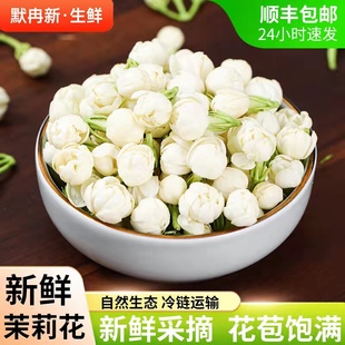 【现货】新鲜茉莉花1斤 现摘云南茉莉花食用鲜花当季蔬菜野菜包邮